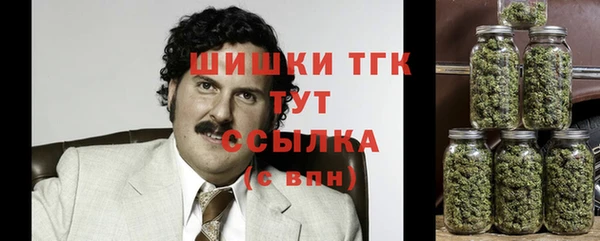 ешки Бородино