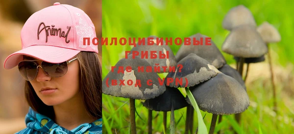 крисы Бронницы