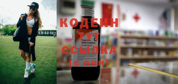 крисы Бронницы