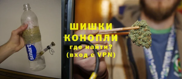 ешки Бородино