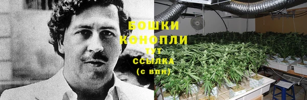 ешки Бородино