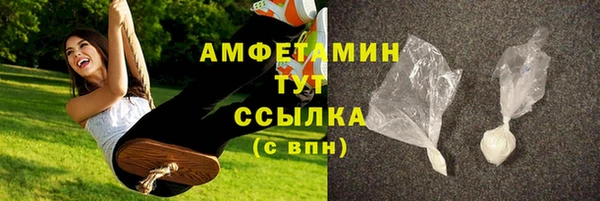 крисы Бронницы