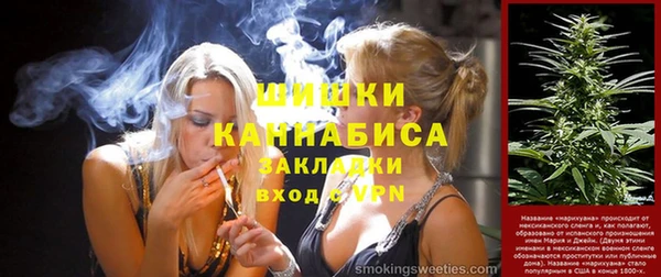 ешки Бородино