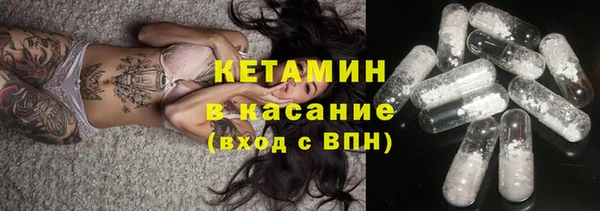 крисы Бронницы
