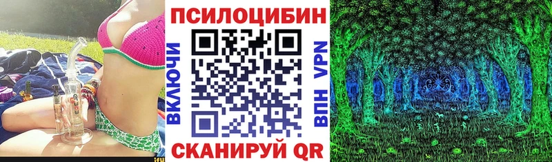 закладка  Грайворон  Галлюциногенные грибы прущие грибы 