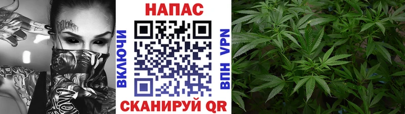 hydra рабочий сайт  Грайворон  Бошки марихуана индика  закладка 